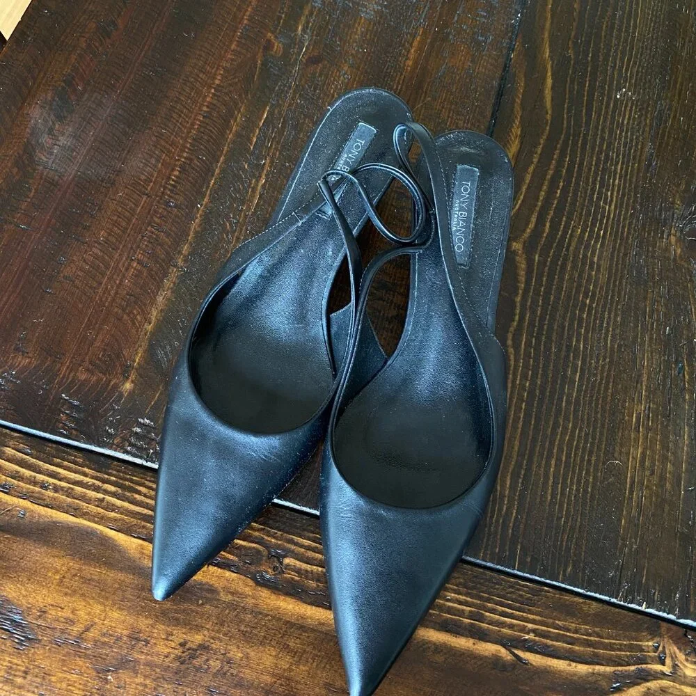 Tony Bianco Black Pointed Slingback Heels